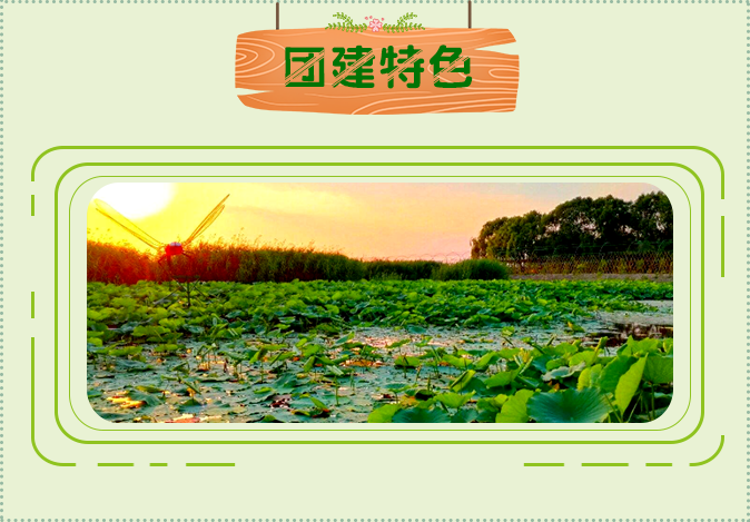 团建特色 - 京外9.png